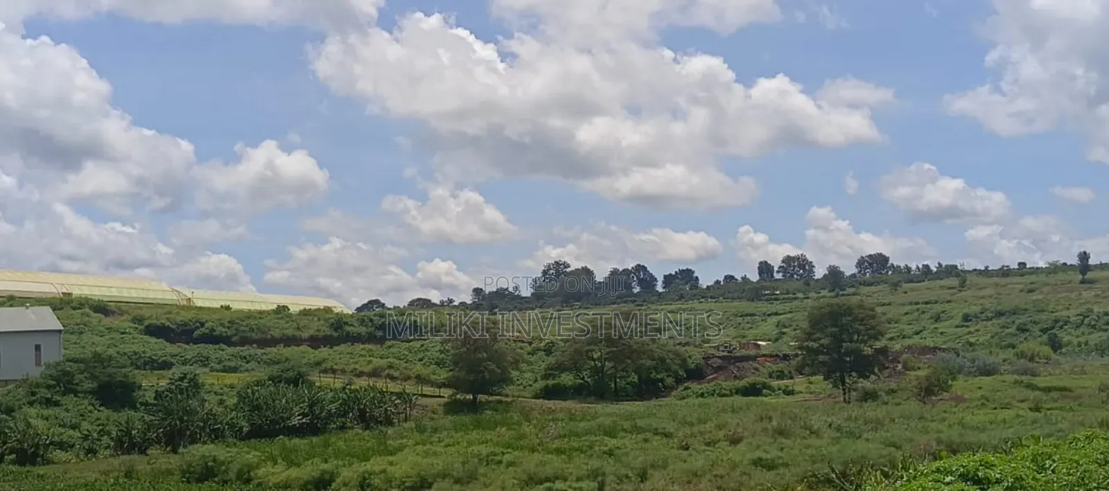 225 Acres on Sale at Thika Near Delmonte