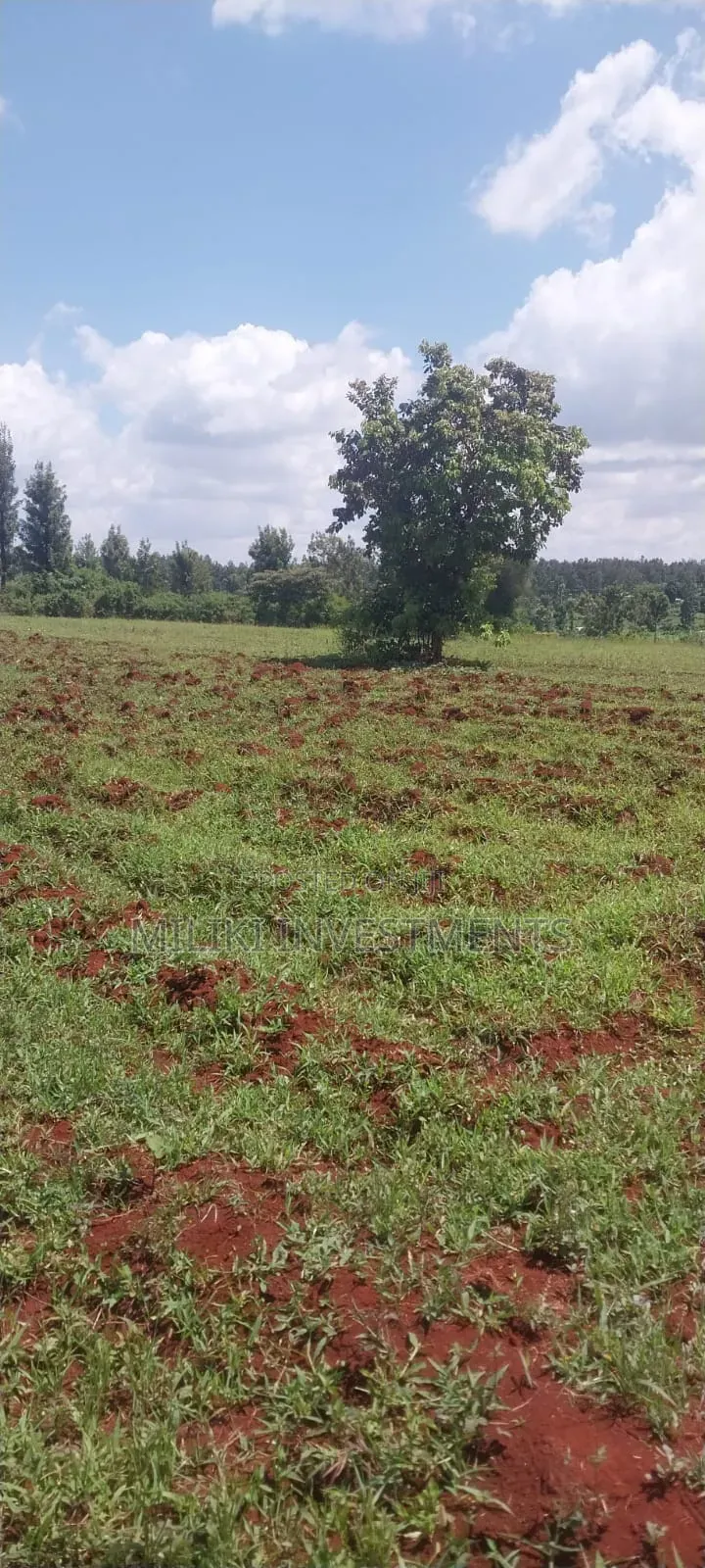8 Acres on Sale at Makatuno-Sagana