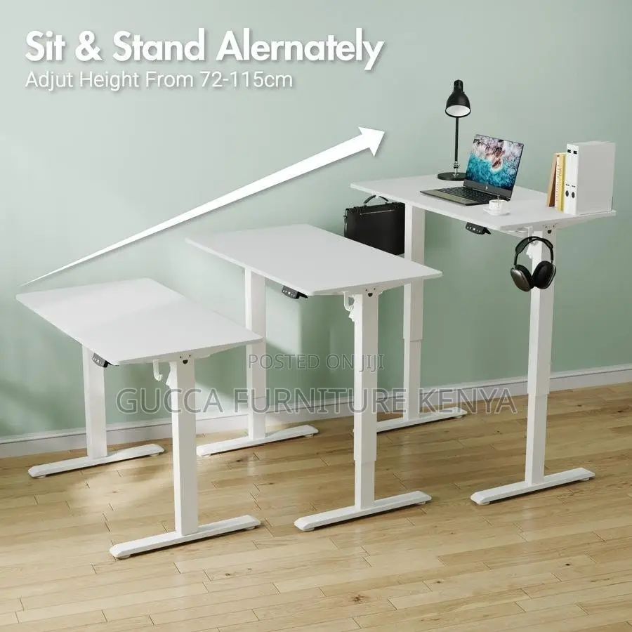 Imported 1200mm Electric Office Standing Desk