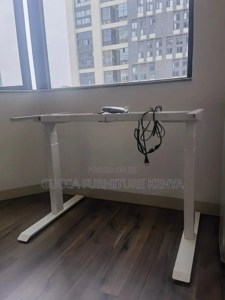 Imported 1200mm Electric Office Standing Desk