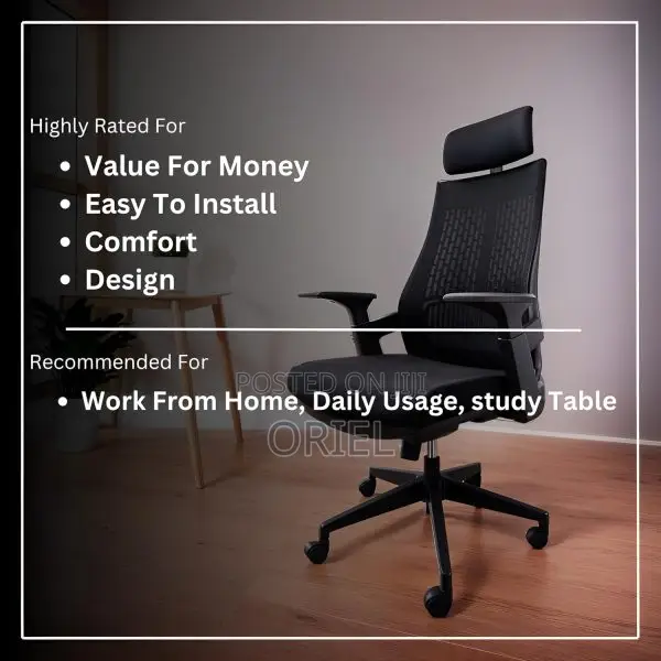 Office Chair : Executive Orthopedic Office Seat