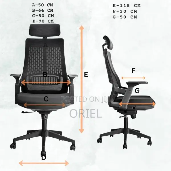 Office Chair : Executive Orthopedic Office Seat