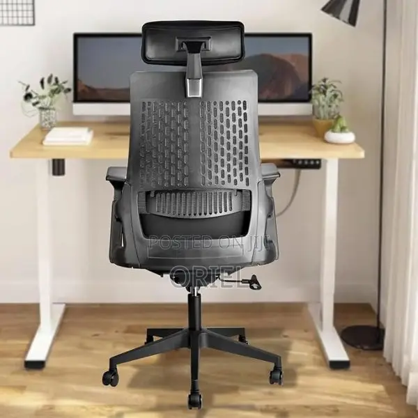 Office Chair : Executive Orthopedic Office Seat