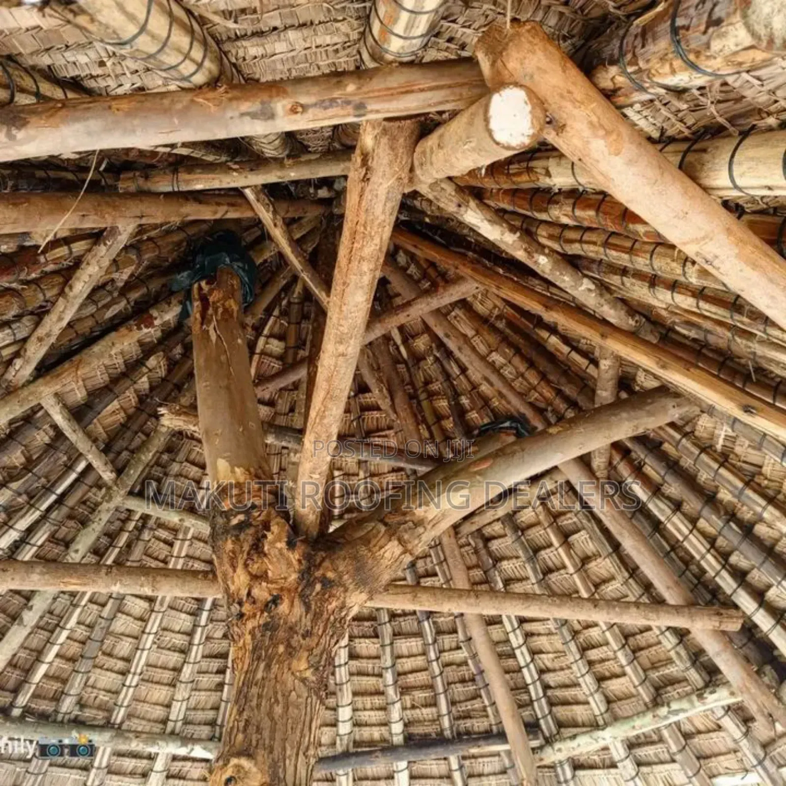 Tree Makuti Gazebo Dealers