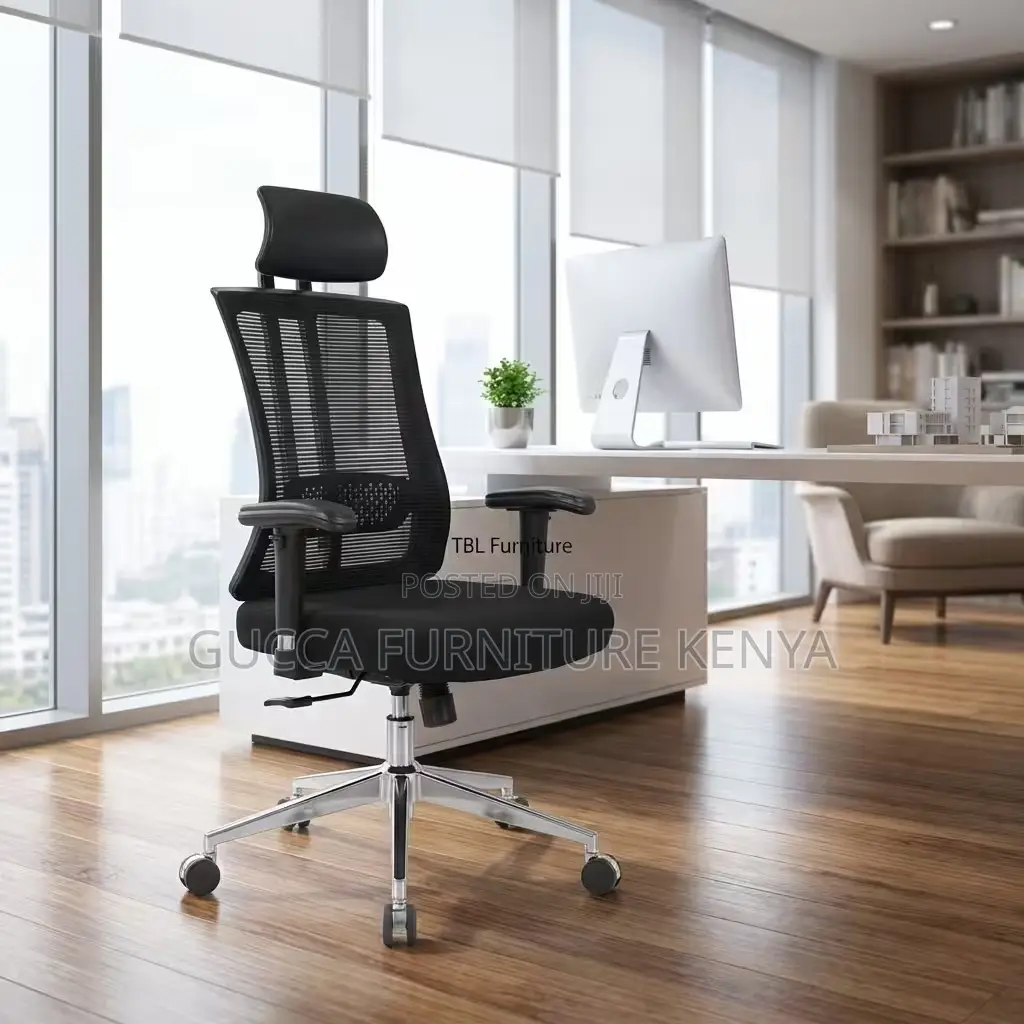 Executive Office Ergonomic Desk Chair