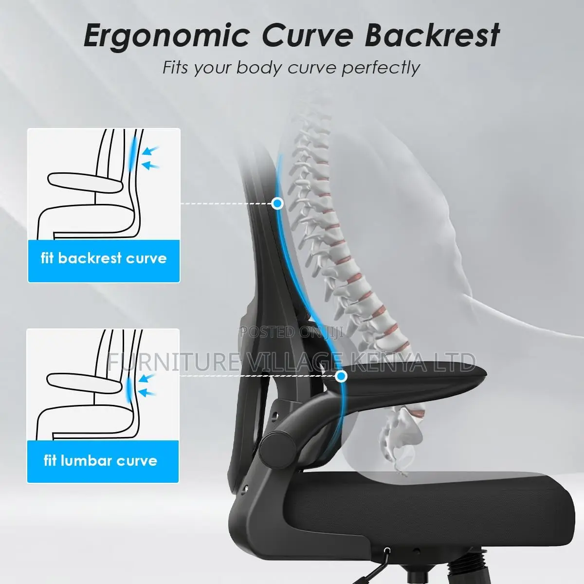 Orthopedic Office Ergonomic Chair