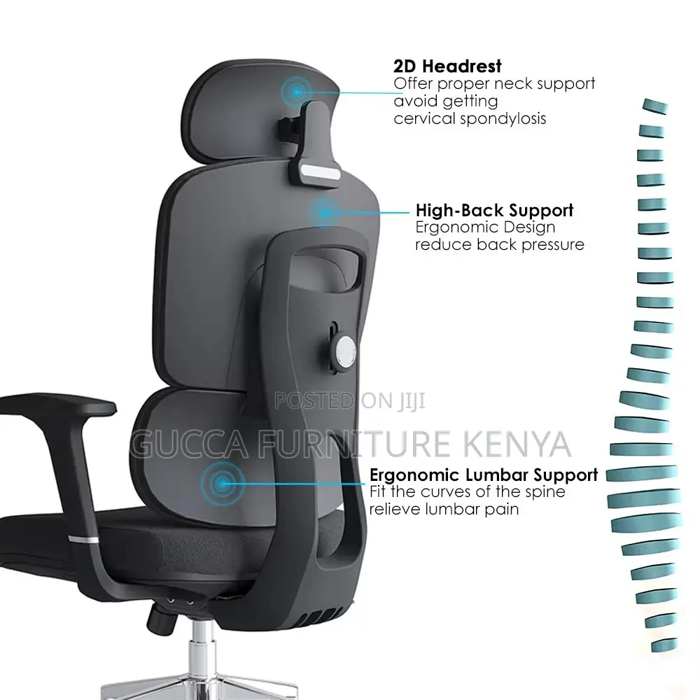 Executive Advanced Orthopedic Office Chair