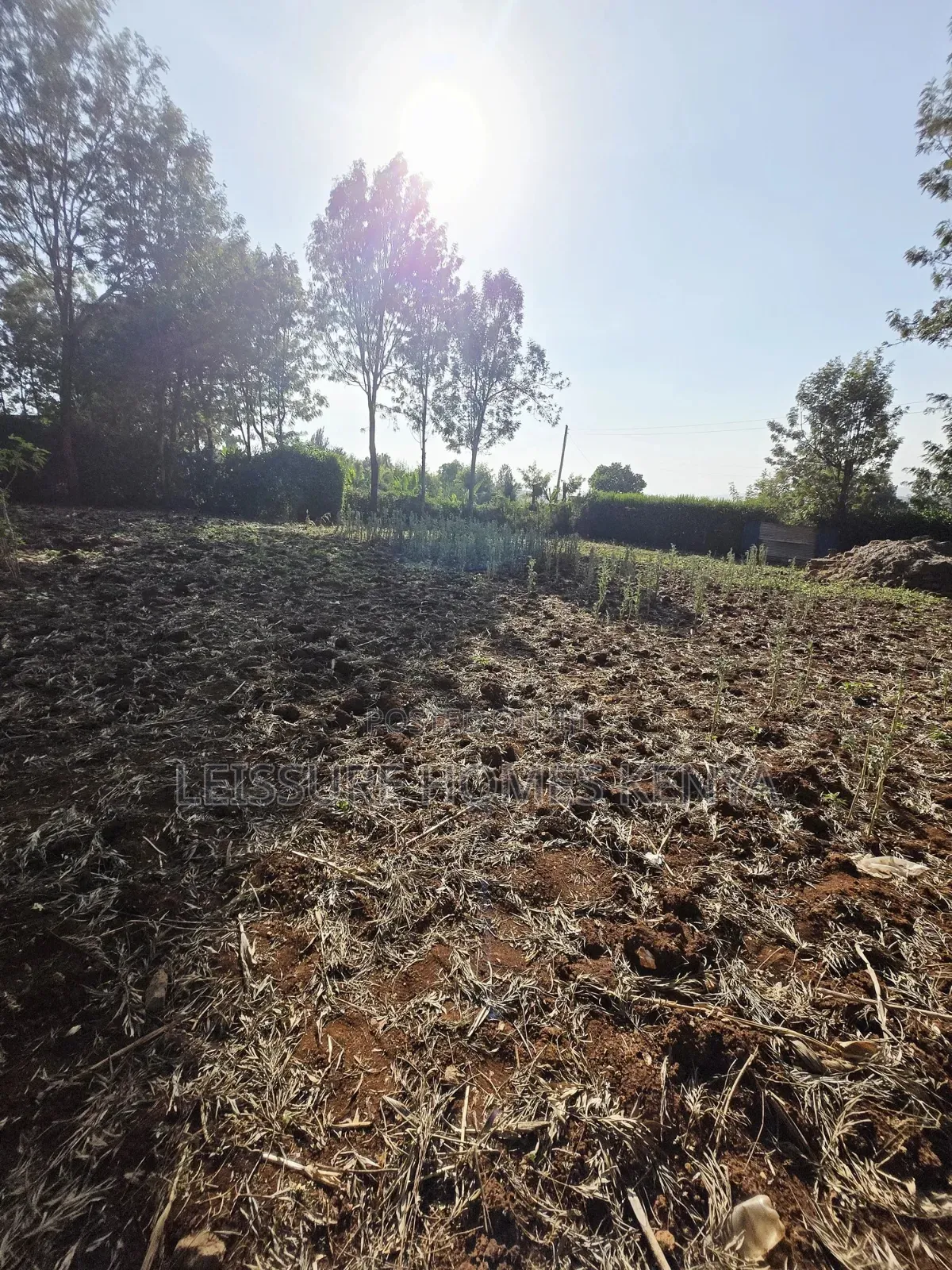 Prime Residential Plots in Ngong
