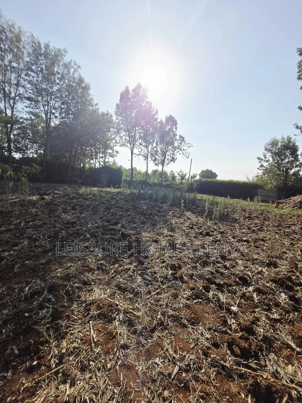 Prime Residential Plots in Ngong