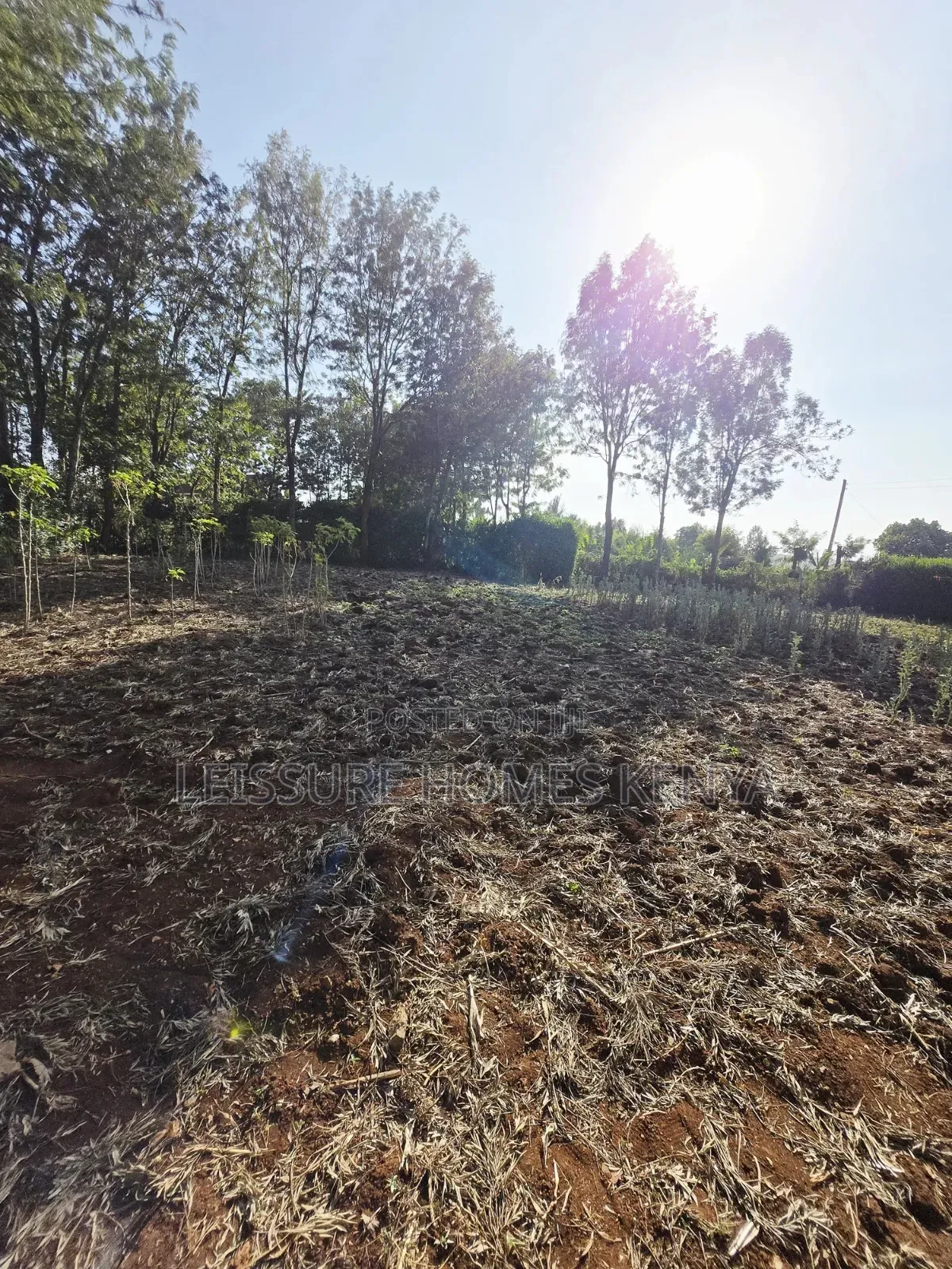 Prime Residential Plots in Ngong