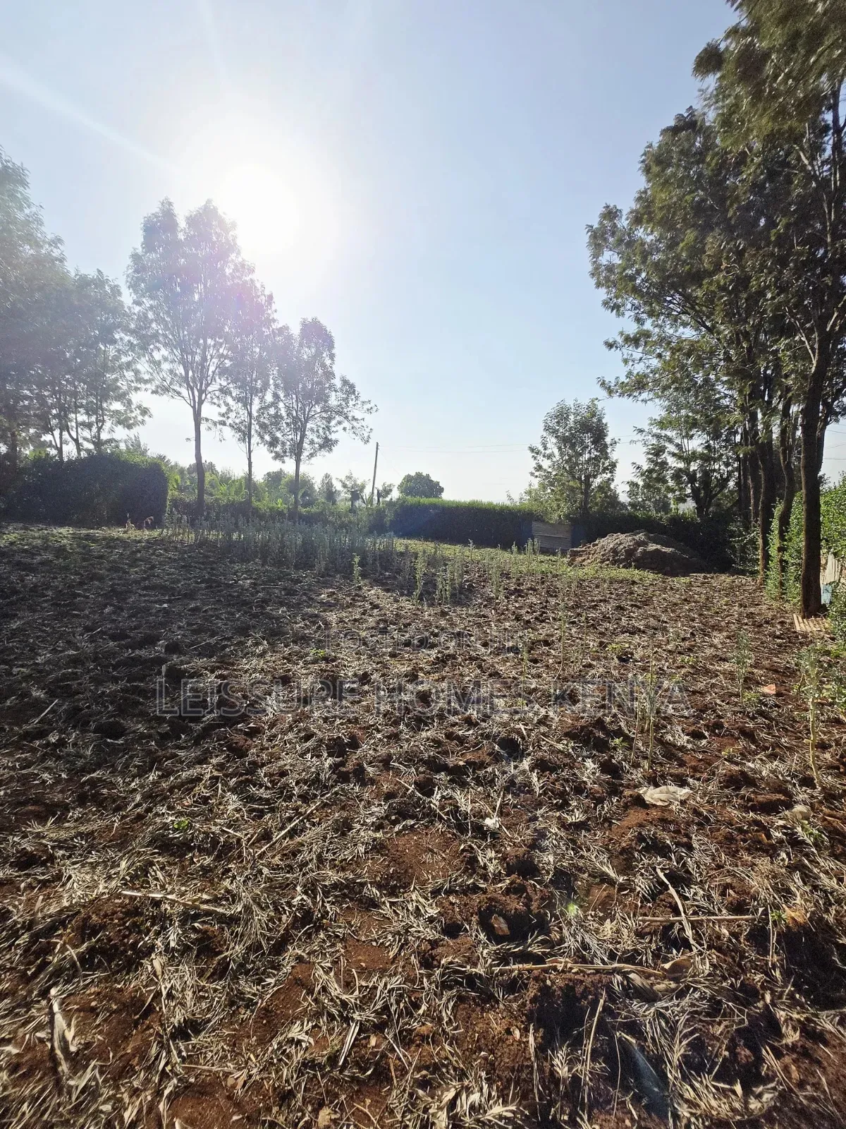 Prime Residential Plots in Ngong