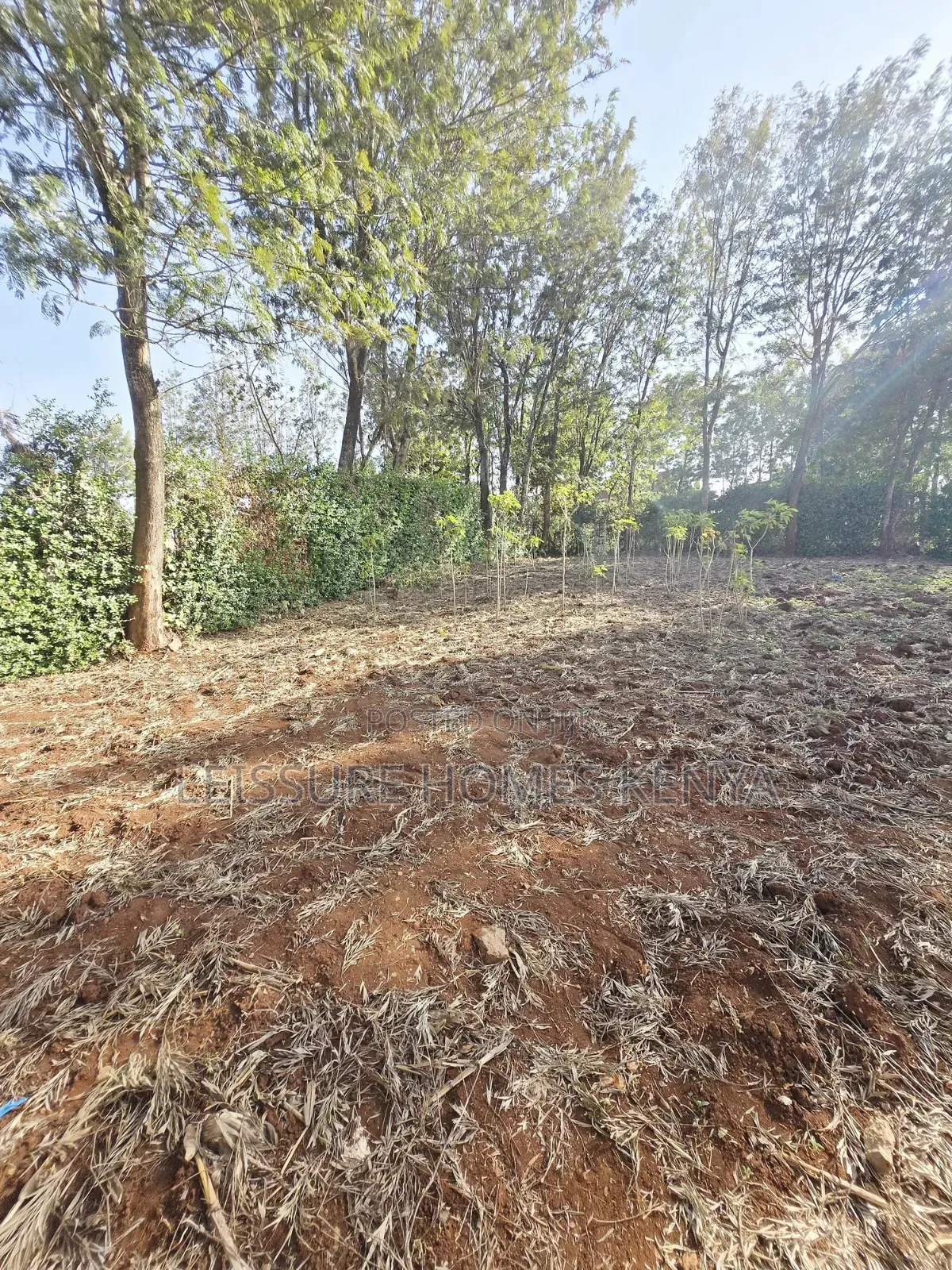 Prime Residential Plots in Ngong
