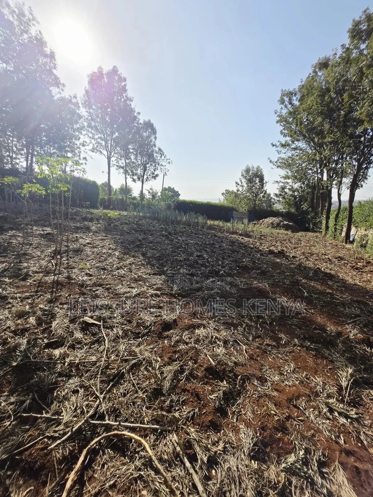 Prime Residential Plots in Kibiku, Ngong