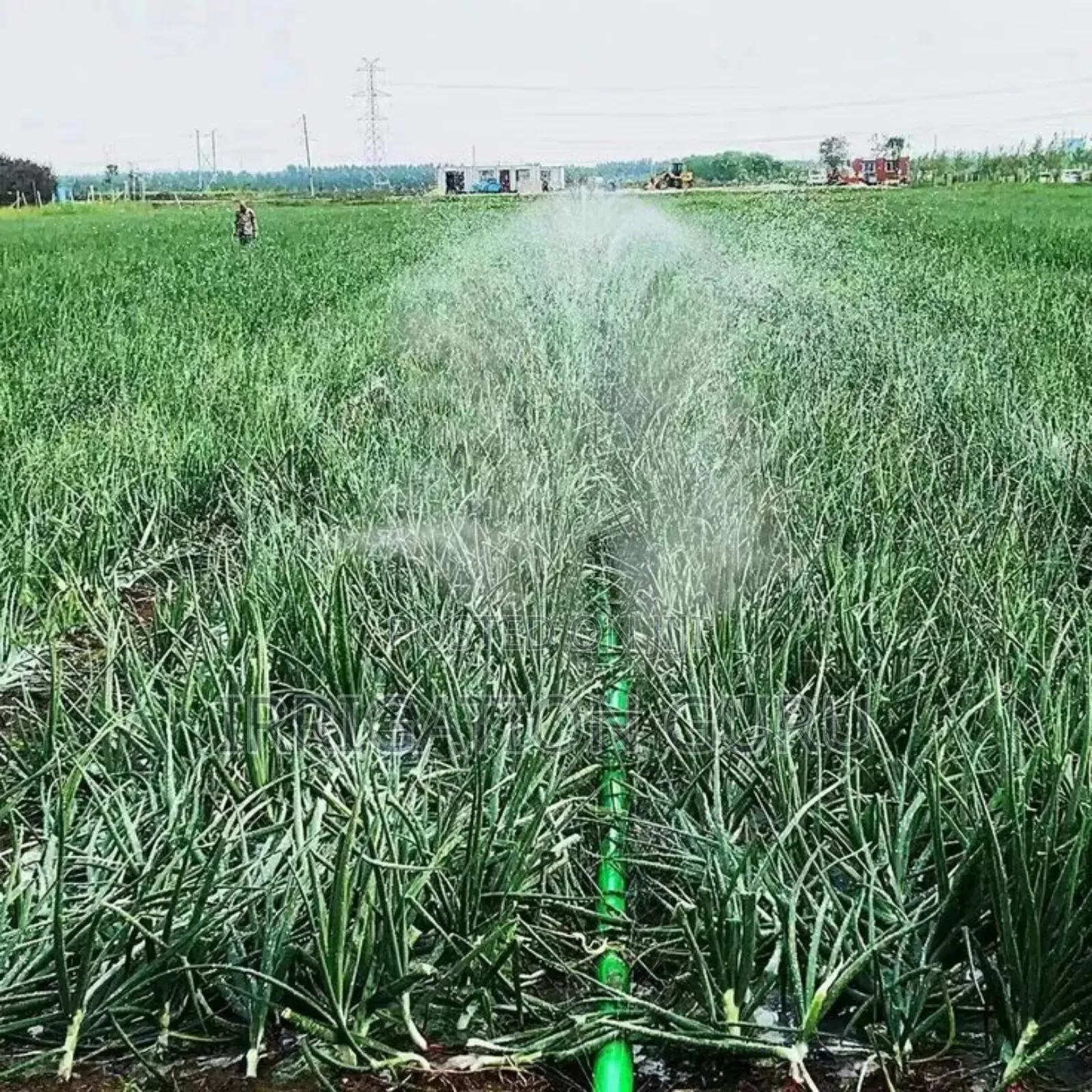 Black Rain Hose Pipe. Irrigation