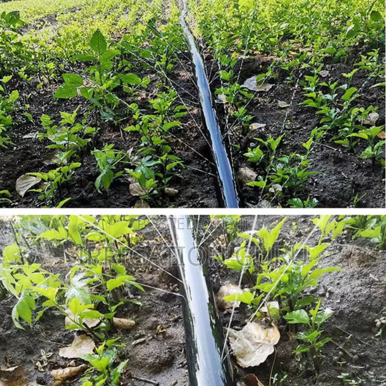 Rain Hose Irrigation Pipe