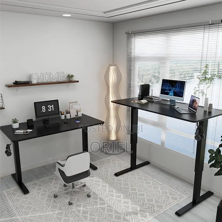 Home and Office Electric Adjustable Desk