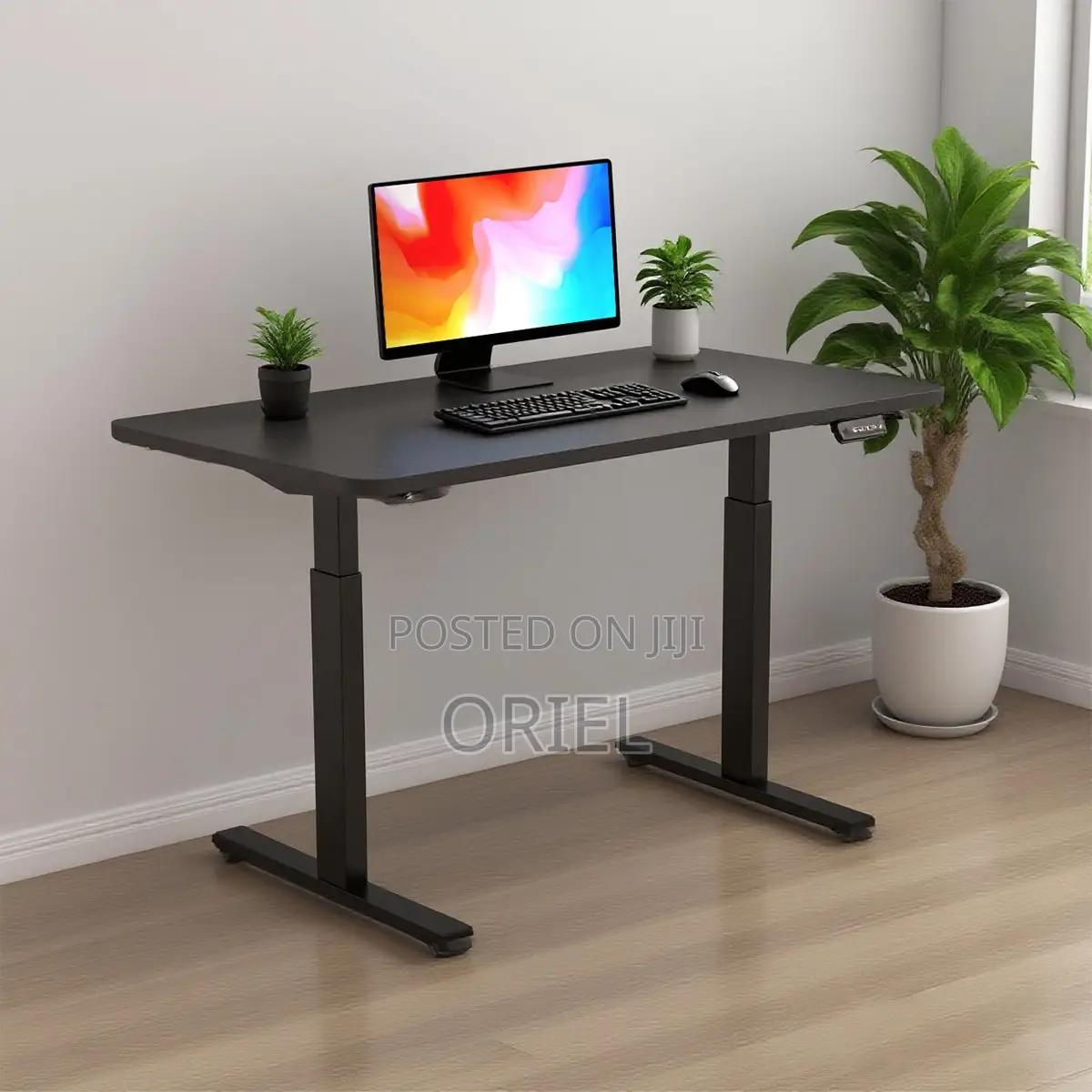 Home and Office Electric Adjustable Desk