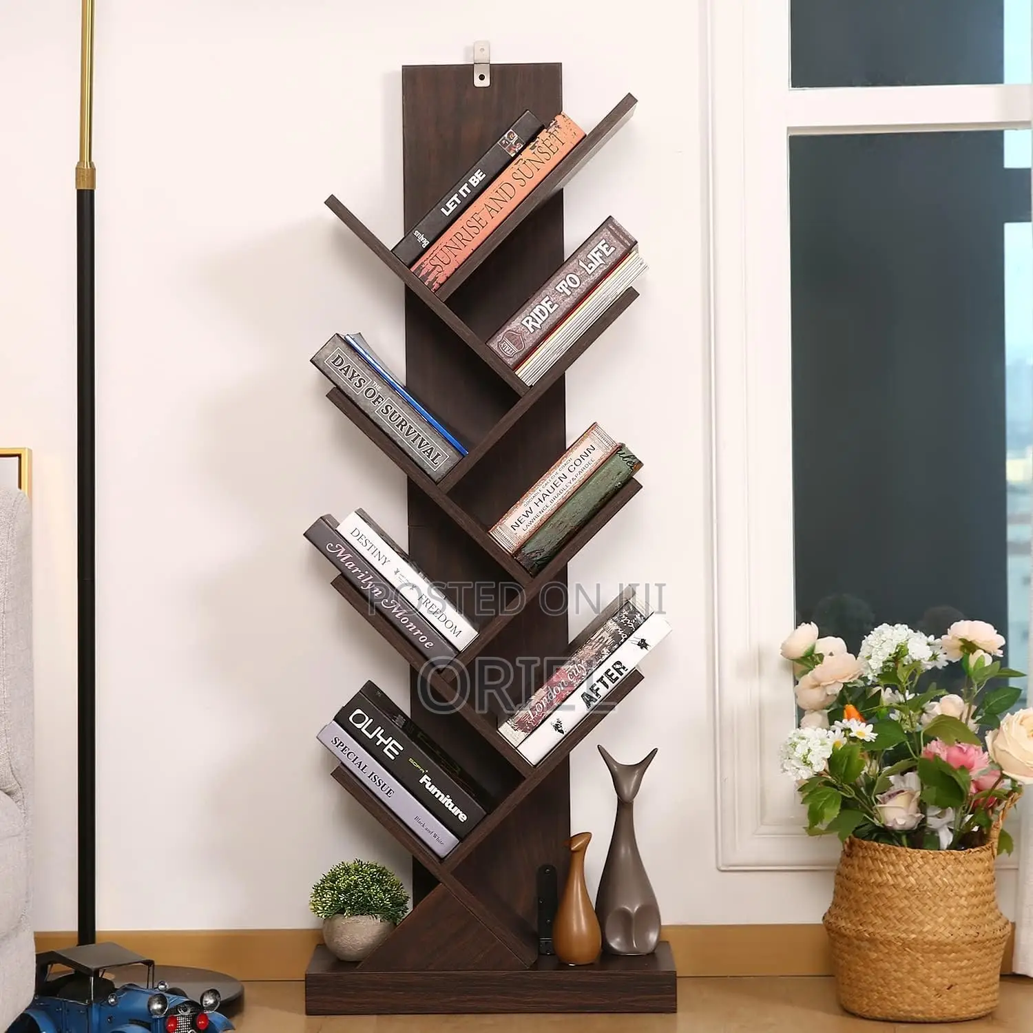 Home and Office Book Shelf
