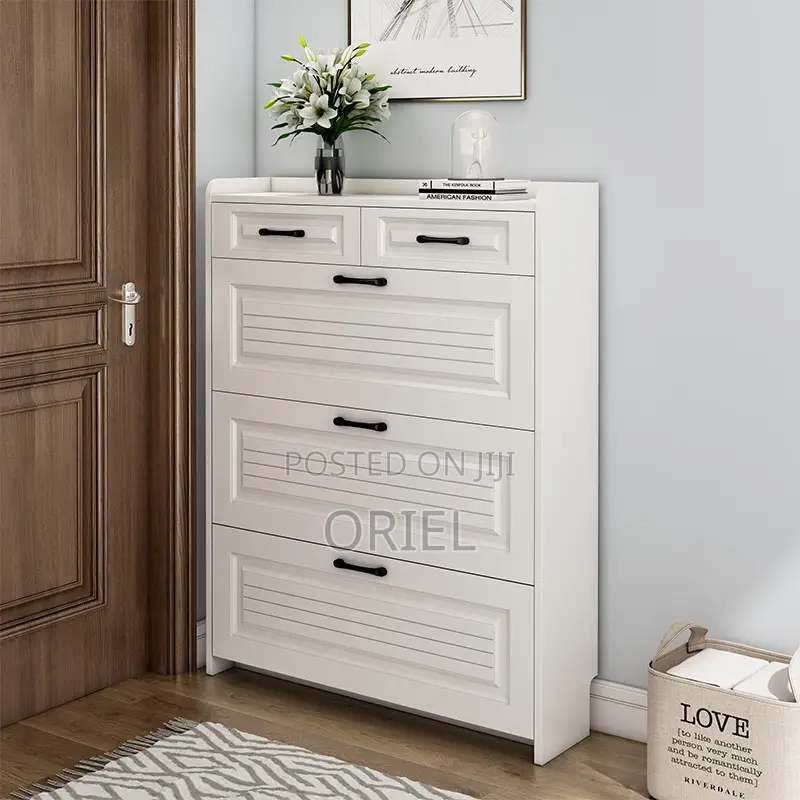 White Modern Shoe Storage Rack