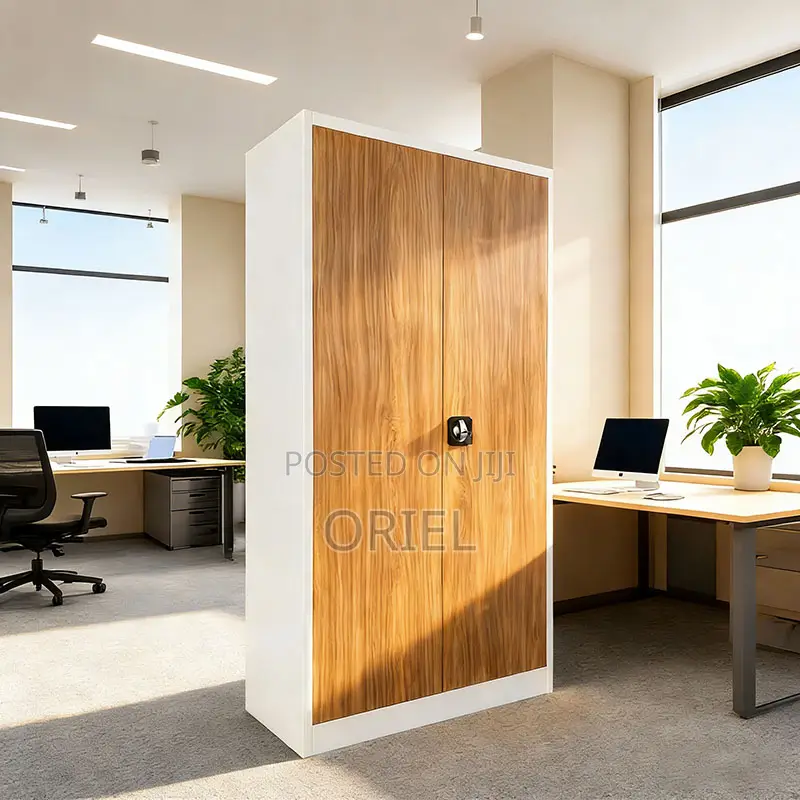 Office Cabinet : 2-Door Stainless Metal Office Cabinet