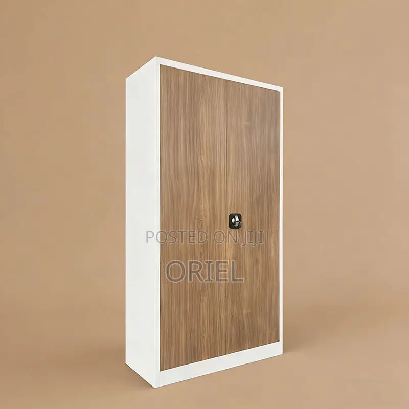 Office Cabinet : 2-Door Stainless Metal Office Cabinet