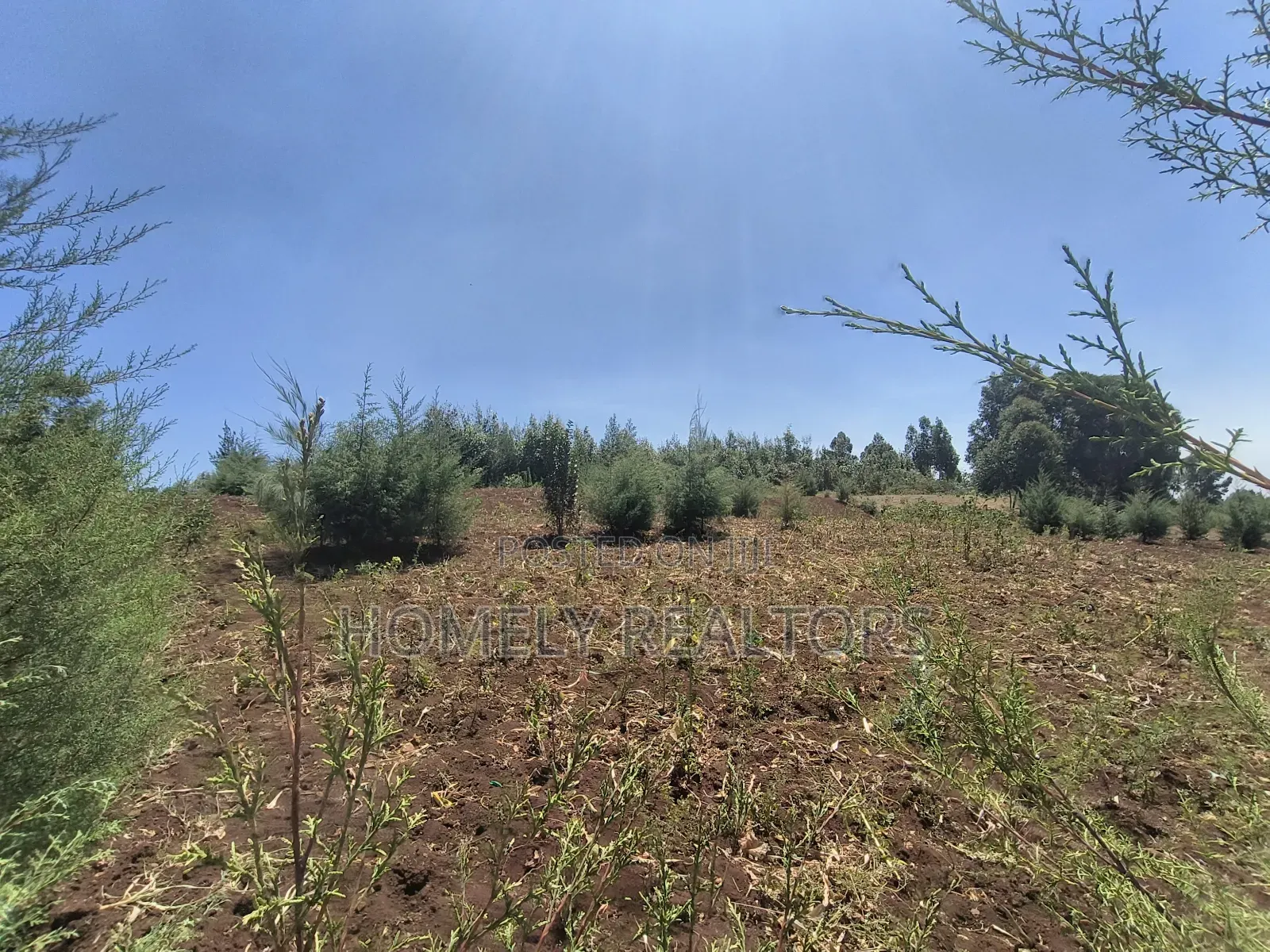 An Half Acre Plot for Sale in Kikuyu Along Ondiri-Nderi Road