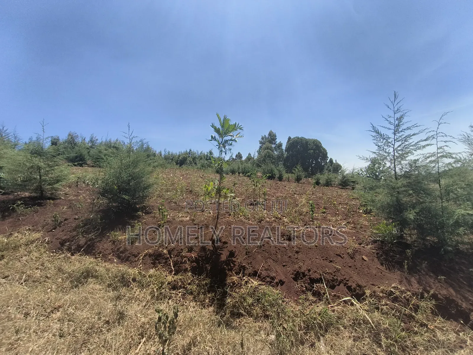 An Half Acre Plot for Sale in Kikuyu Along Ondiri-Nderi Road