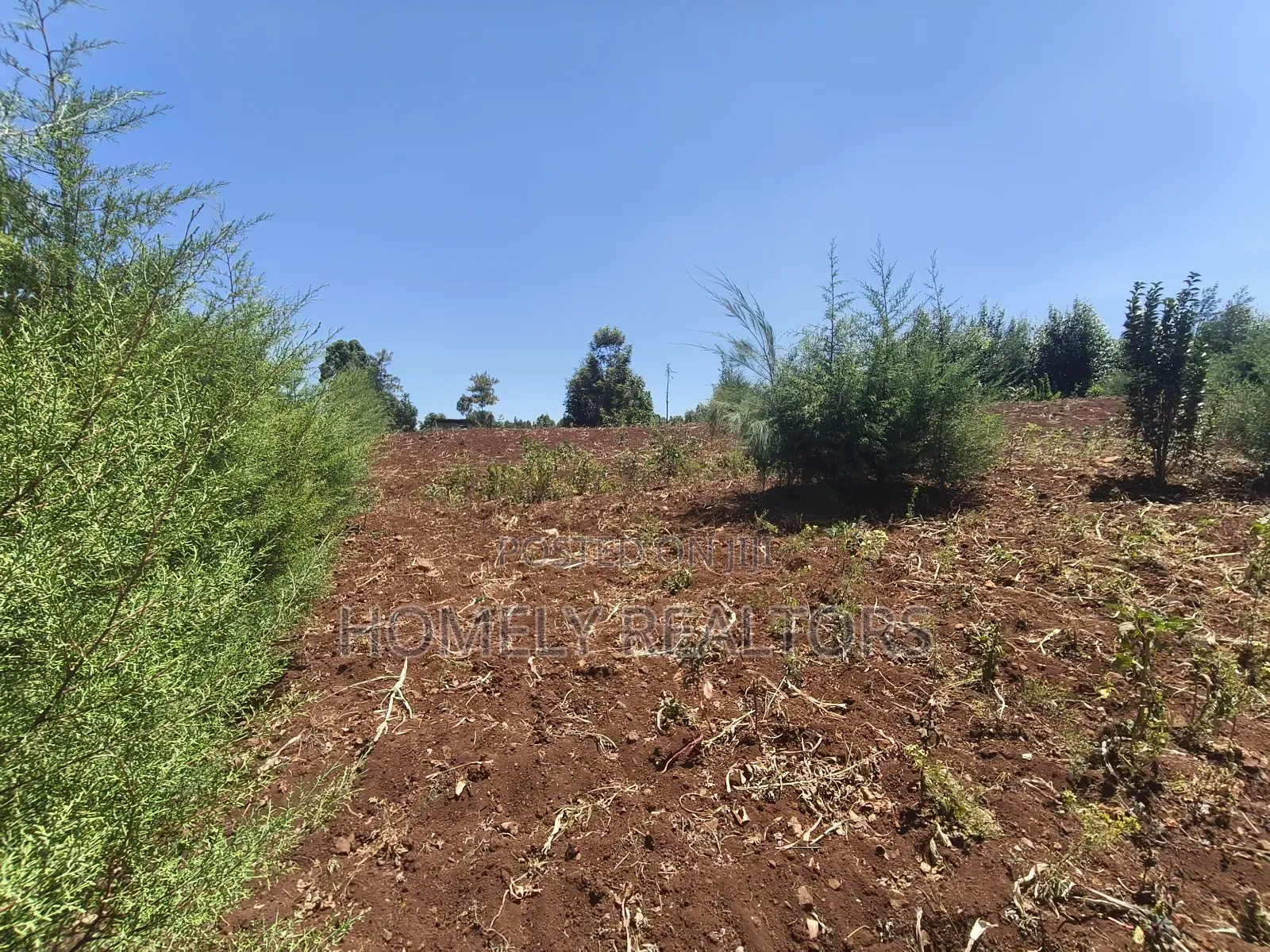 An Half Acre Plot for Sale in Kikuyu Along Ondiri-Nderi Road