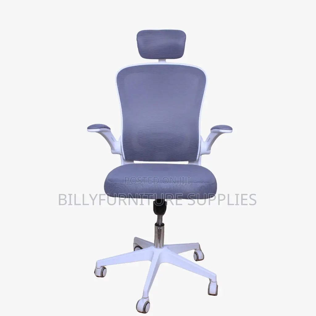 Premium Orthopedic High Back Chair for Office Use