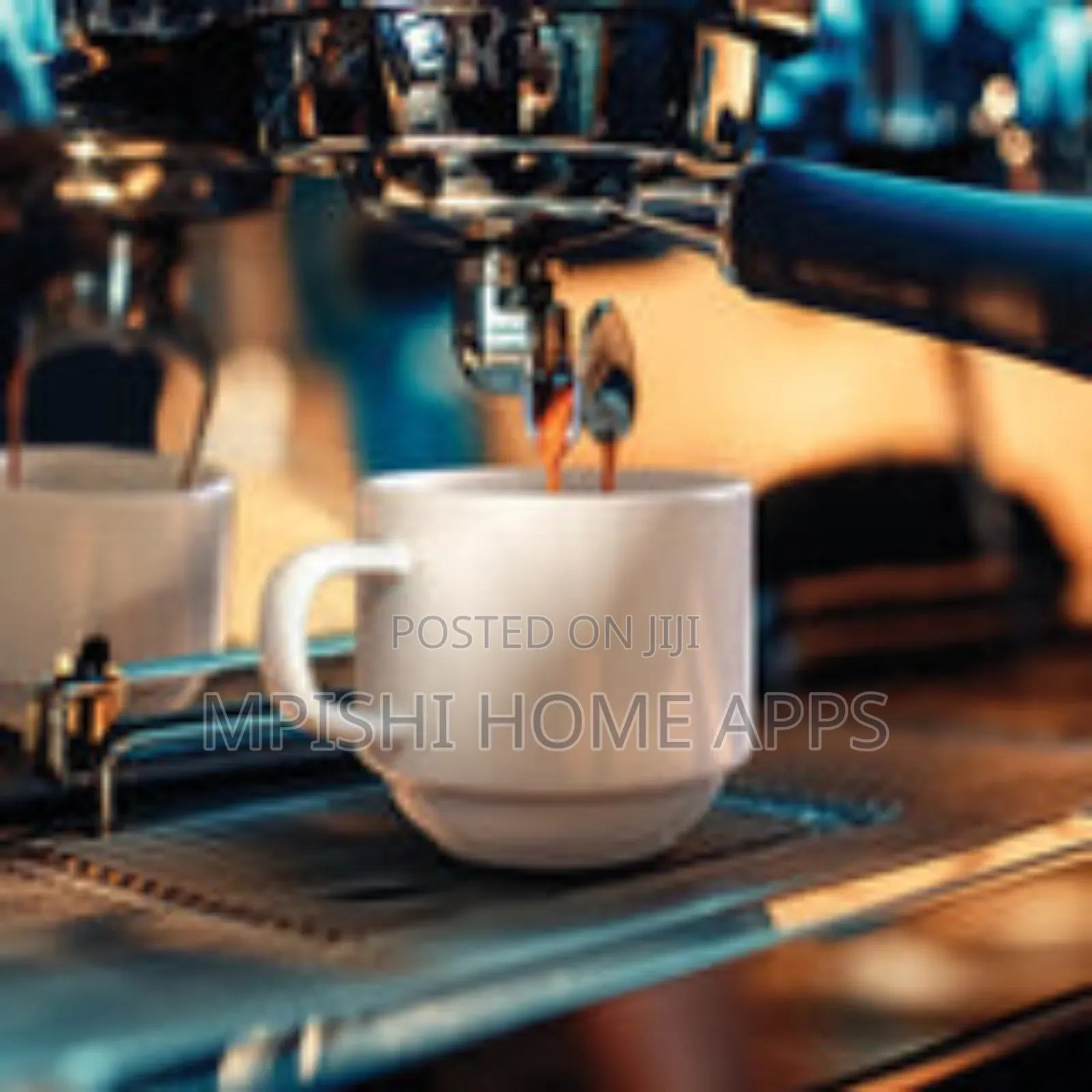 6pcs Espresso Cups