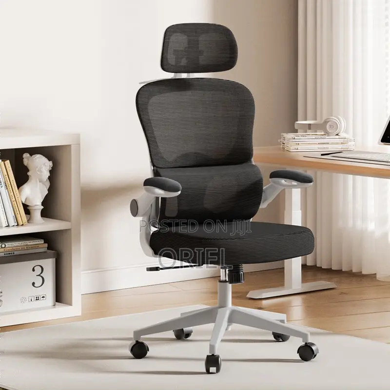 Office Chair : Jantens Ergonomic High Back Chair