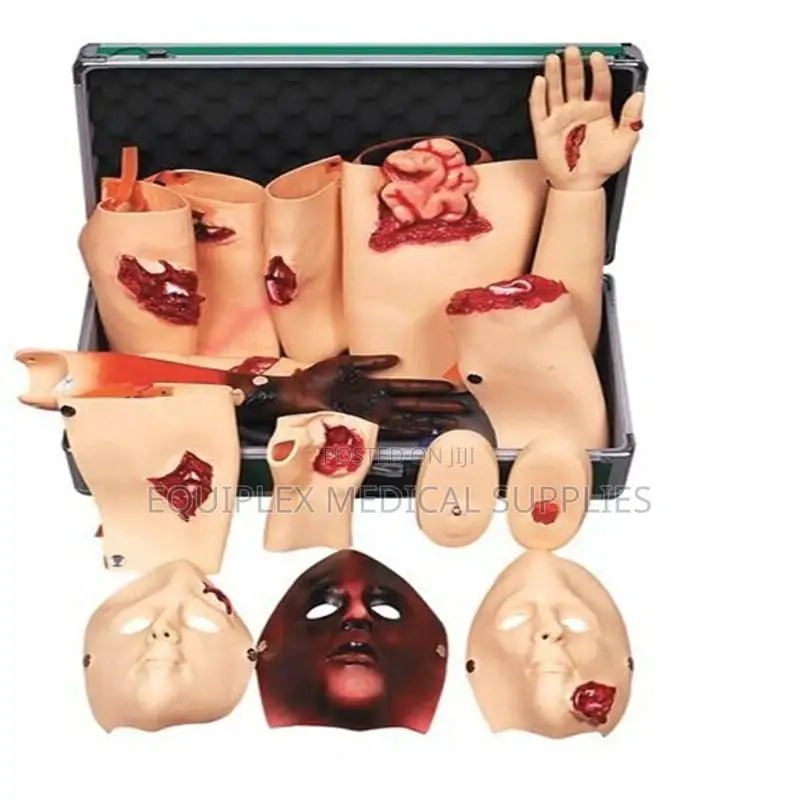 Trauma Model For Medical Training And Demonstration