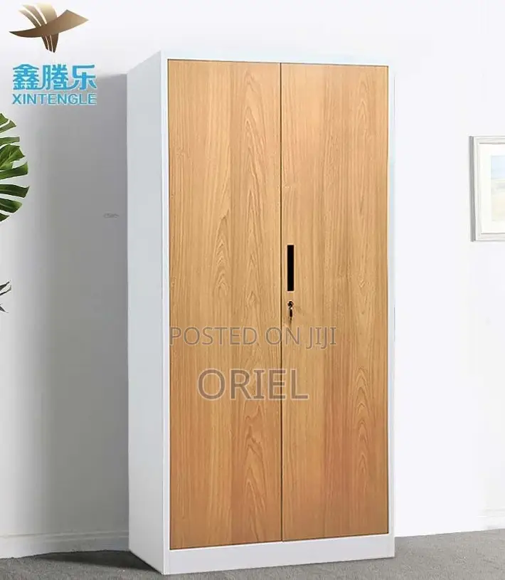 Cabinets; Professional Two-Door Brown Office Filing Storage Cabinet
