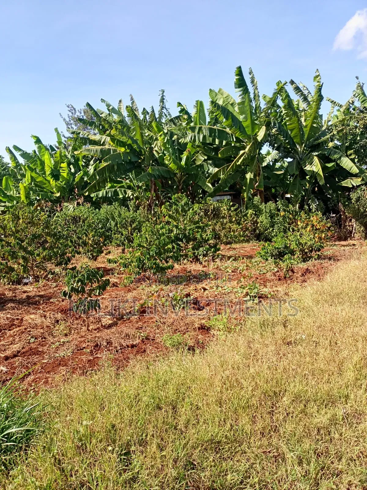 Quarter an Acre on Sale at Kangari -Kirinyaga.