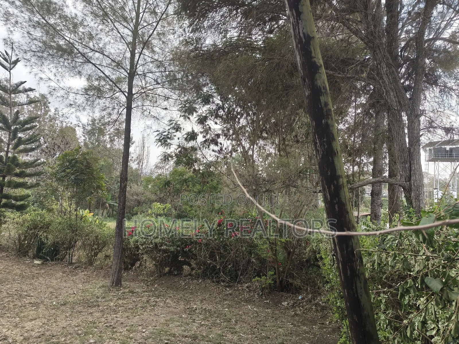 Half Acre Plot for Sale in Ngong Olkeri. Has Incomplete 2bdrm House