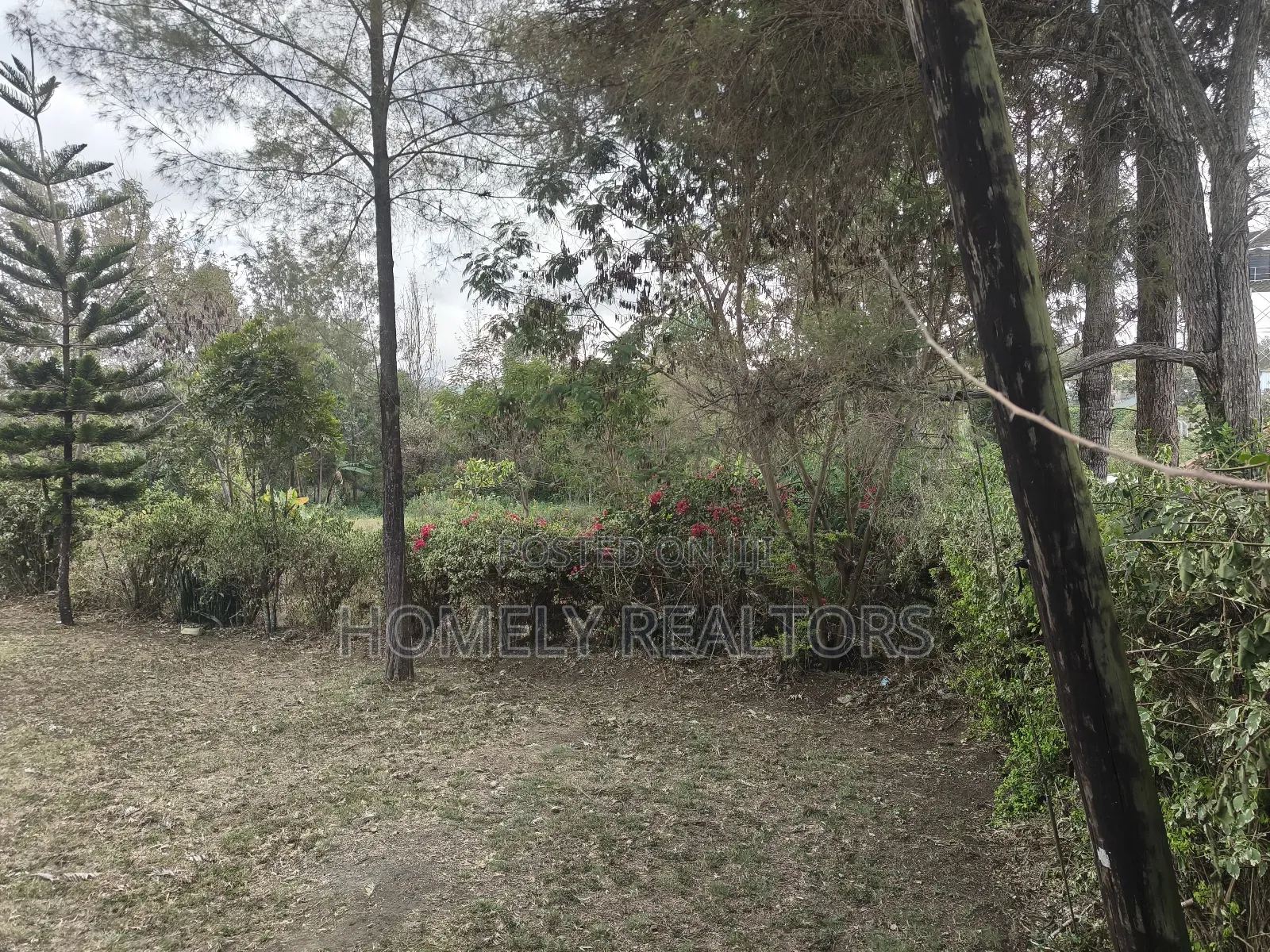 Half Acre Plot for Sale in Ngong Olkeri. Has Incomplete 2bdrm House