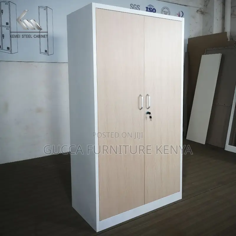 Modern 2-door Metallic Document Cabinet