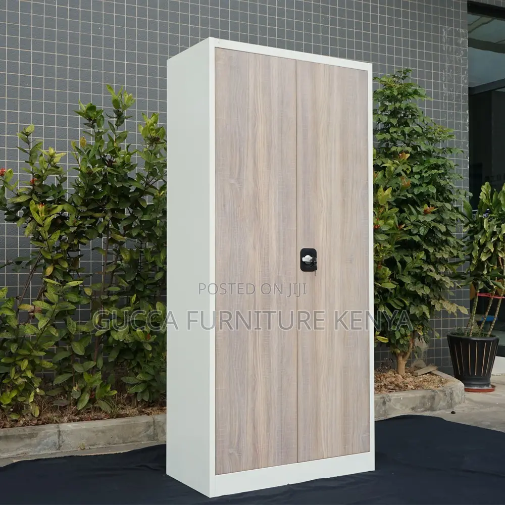 Modern 2-door Metallic Document Cabinet