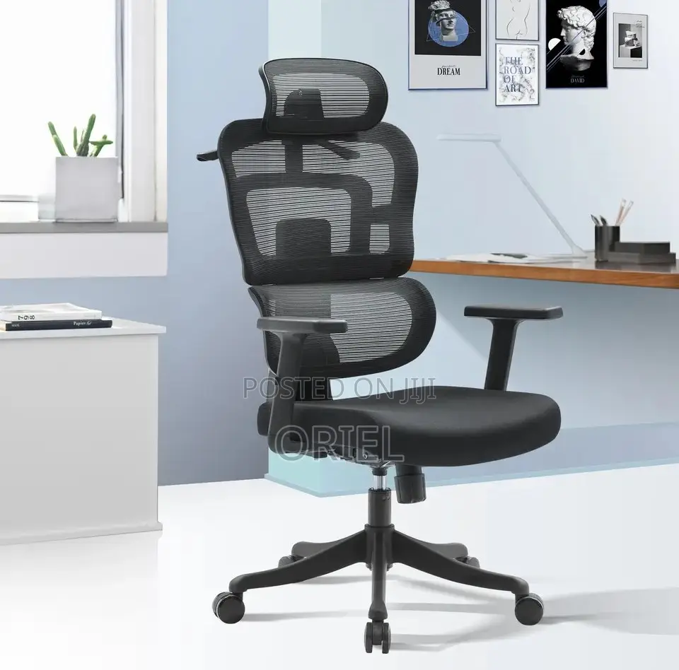 Modern Office Chair : Orthopedic Office Seat