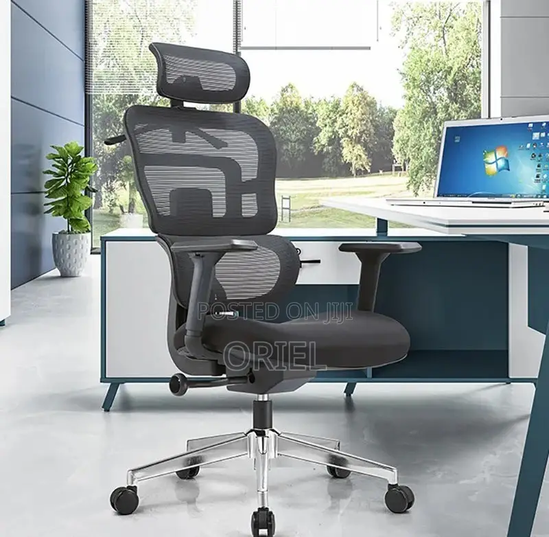 Modern Office Chair : Orthopedic Office Seat