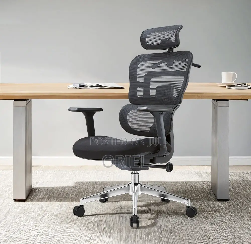 Modern Office Chair : Orthopedic Office Seat
