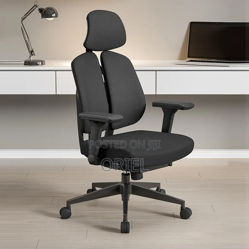 Office Orthopedic Chair : Dual Backrests E Adjustable Office Chair