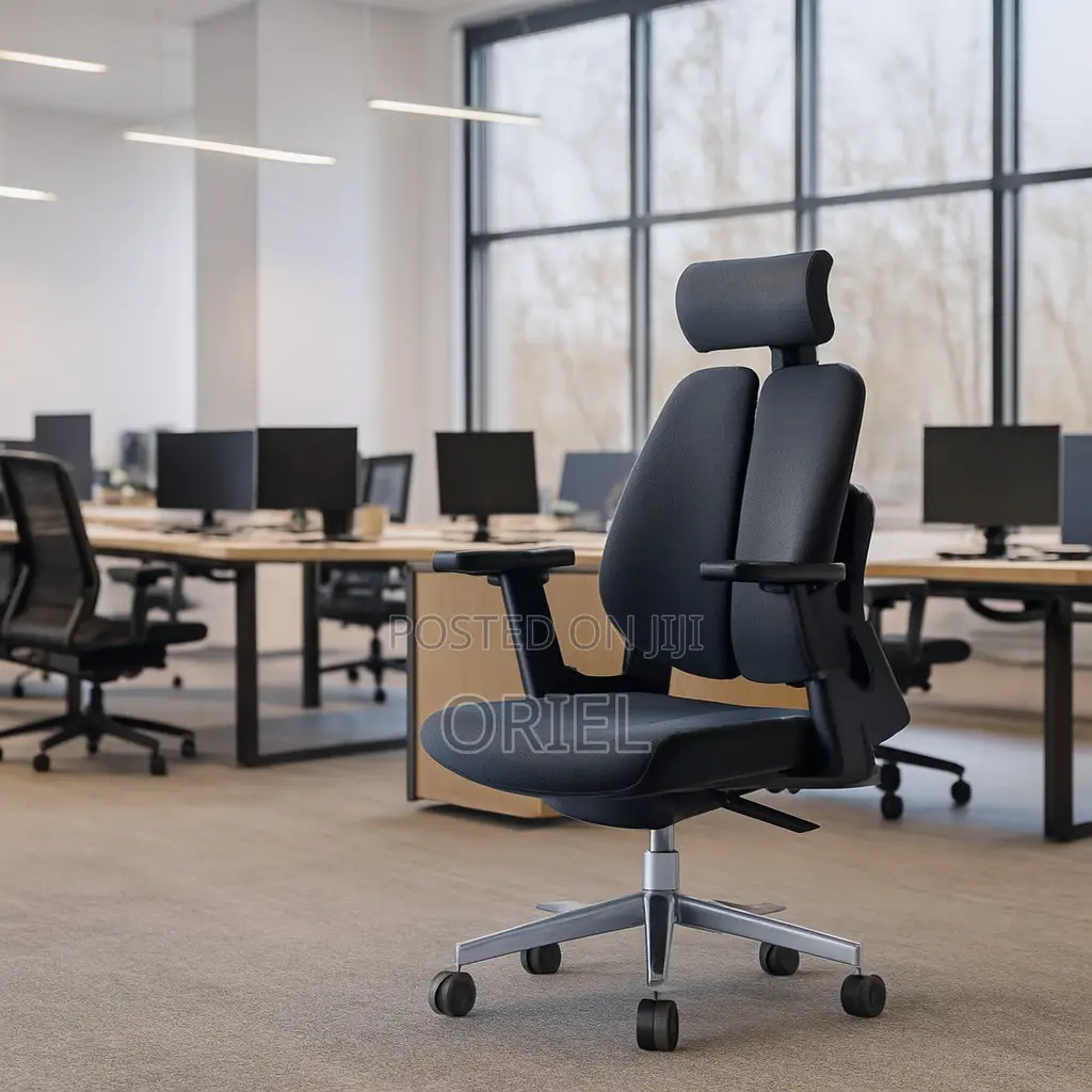 Office Orthopedic Chair : Dual Backrests E Adjustable Office Chair