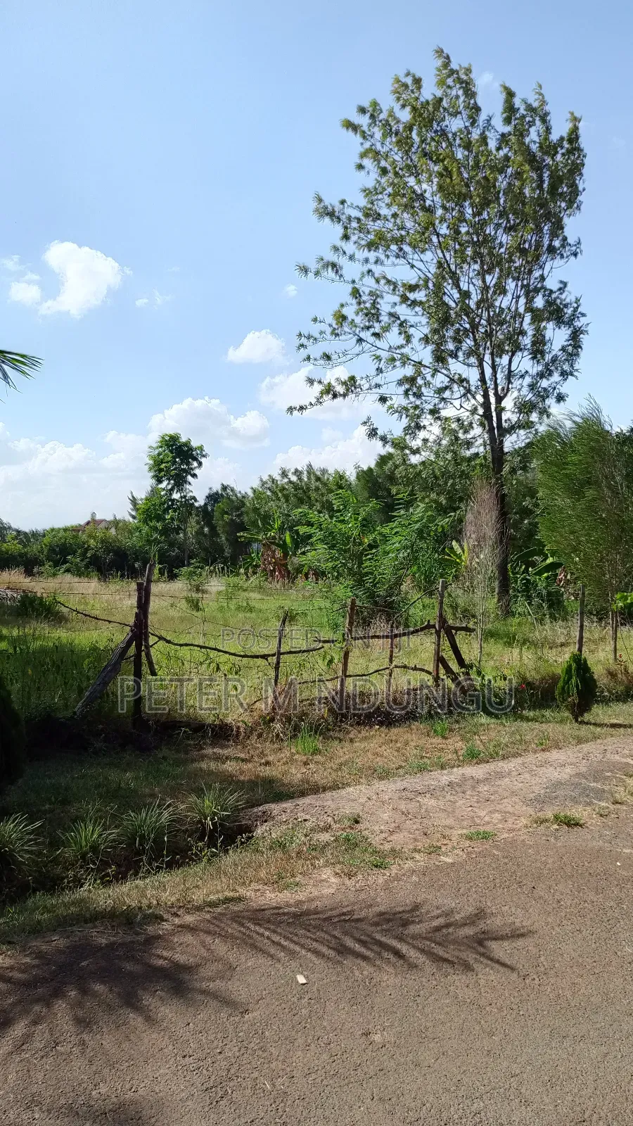 Garden Estate Residential 1/2 Acre on Sale, Title