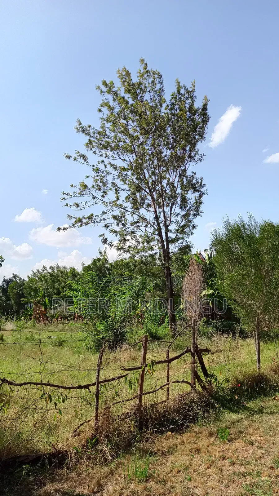 Garden Estate Residential 1/2 Acre on Sale, Title