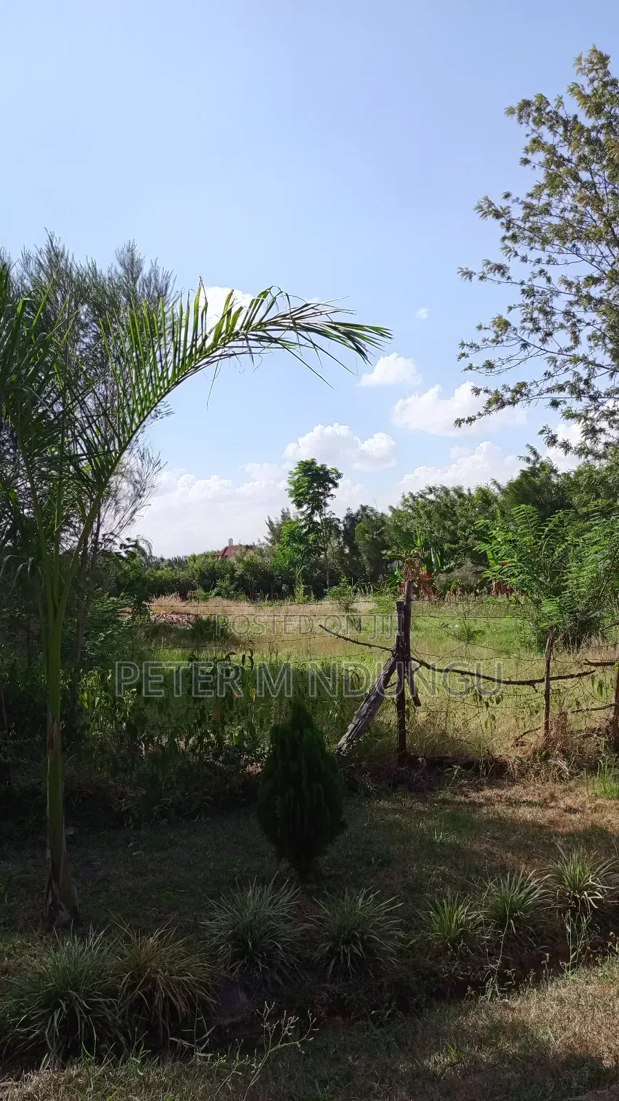 Garden Estate Residential 1/2 Acre on Sale, Title