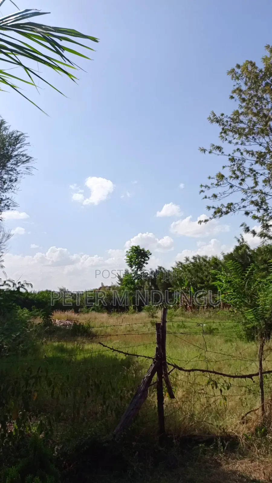 Garden Estate Residential 1/2 Acre on Sale, Title