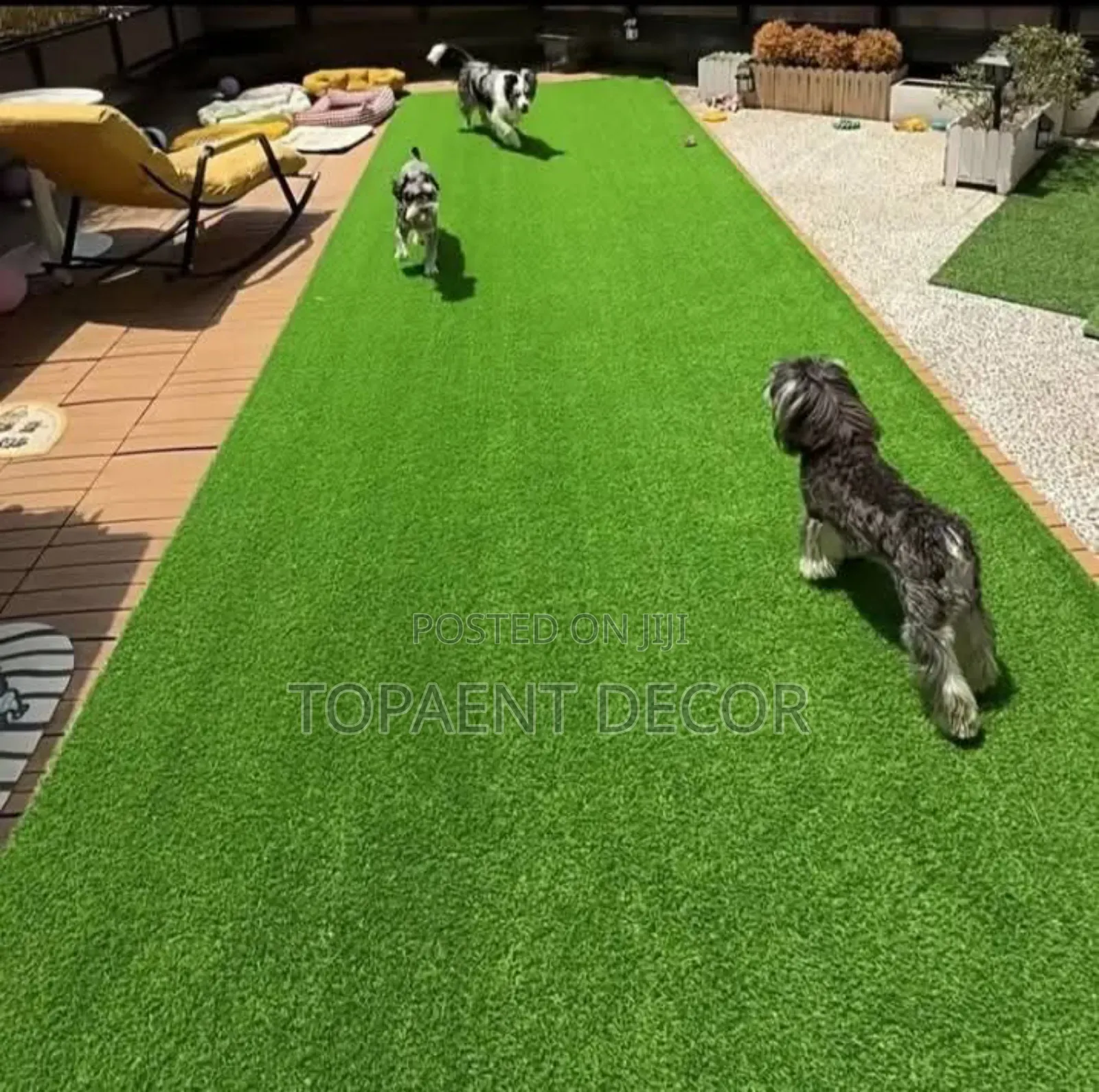 20mm Dogs Training Artificial Green Grass Carpet