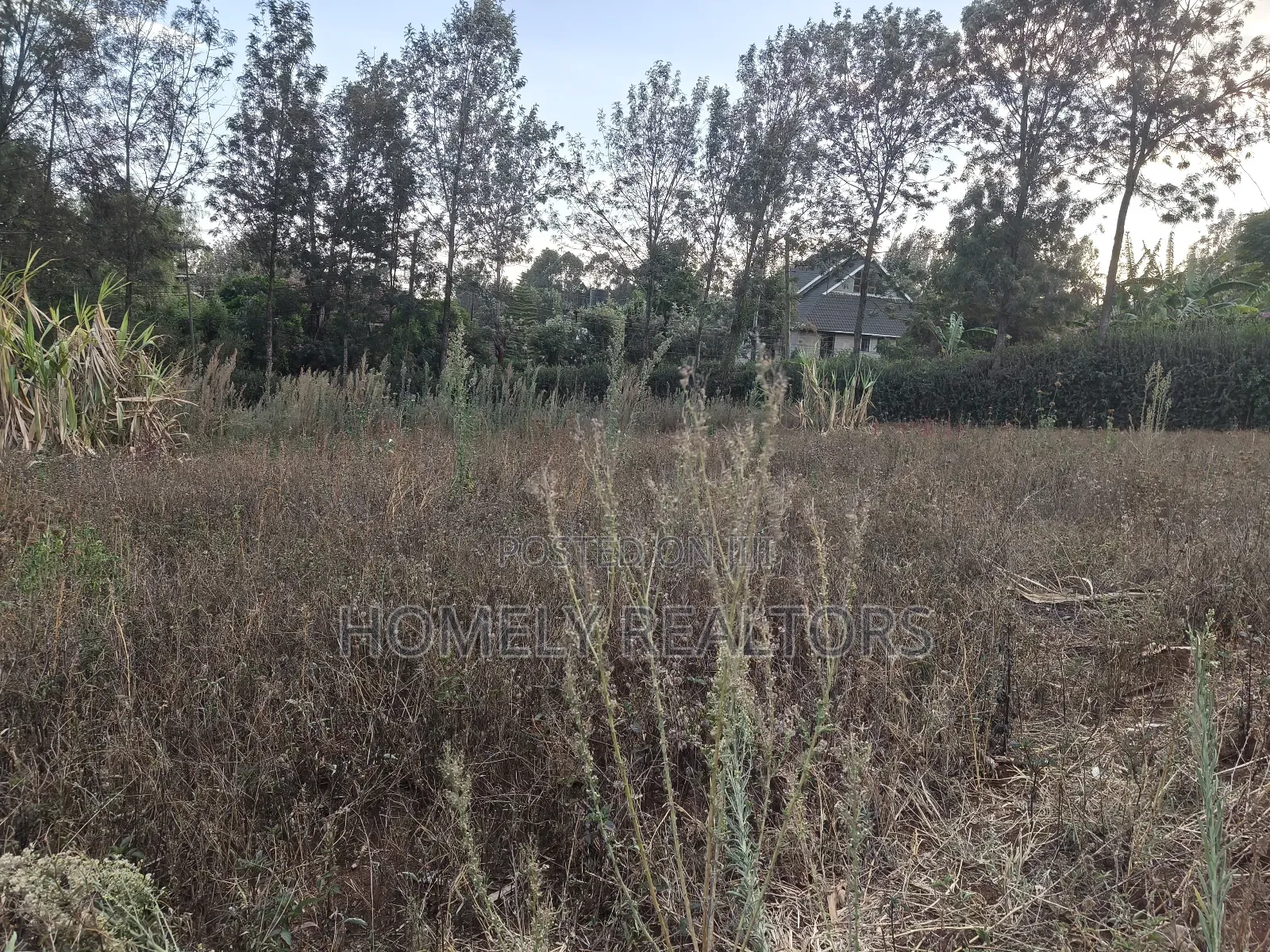 Eighth Acre Plot for Sale in Kerarapon Drive, With 2 Access Roads