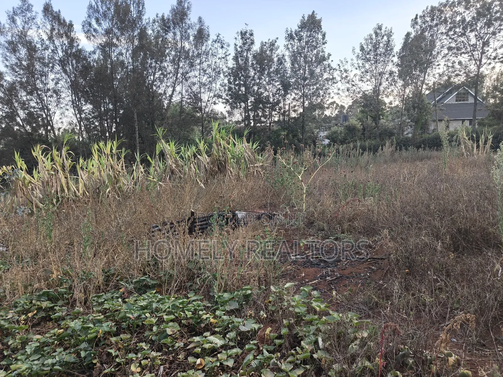 Eighth Acre Plot for Sale in Kerarapon Drive, With 2 Access Roads